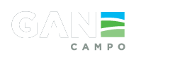 GANECO : Construcción
